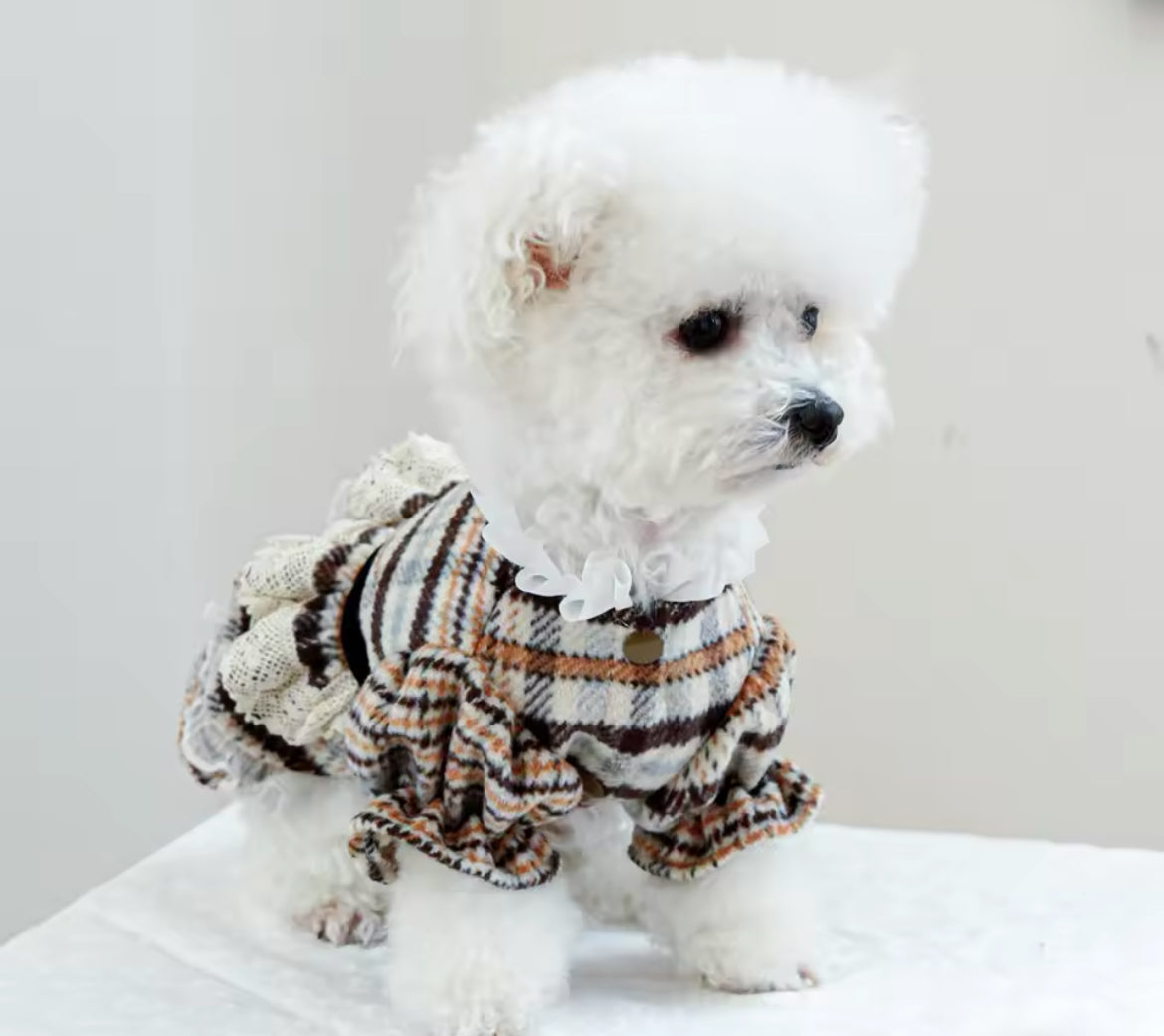 Alexis Dog Dress | Dog Dress for Everyday Wear