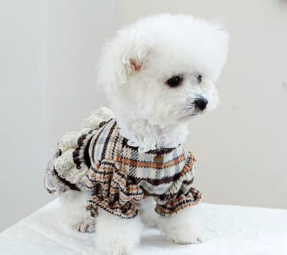 Alexis Dog Dress | Dog Dress for Everyday Wear