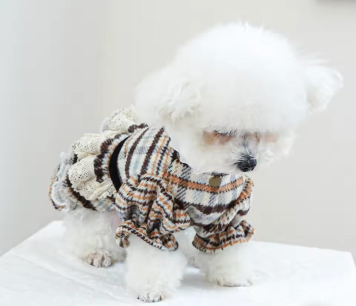 Alexis Dog Dress | Dog Dress for Everyday Wear