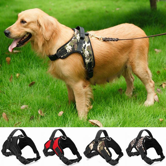Premium Nylon Dog Collar Set - Stylish And Durable Pet Accessories