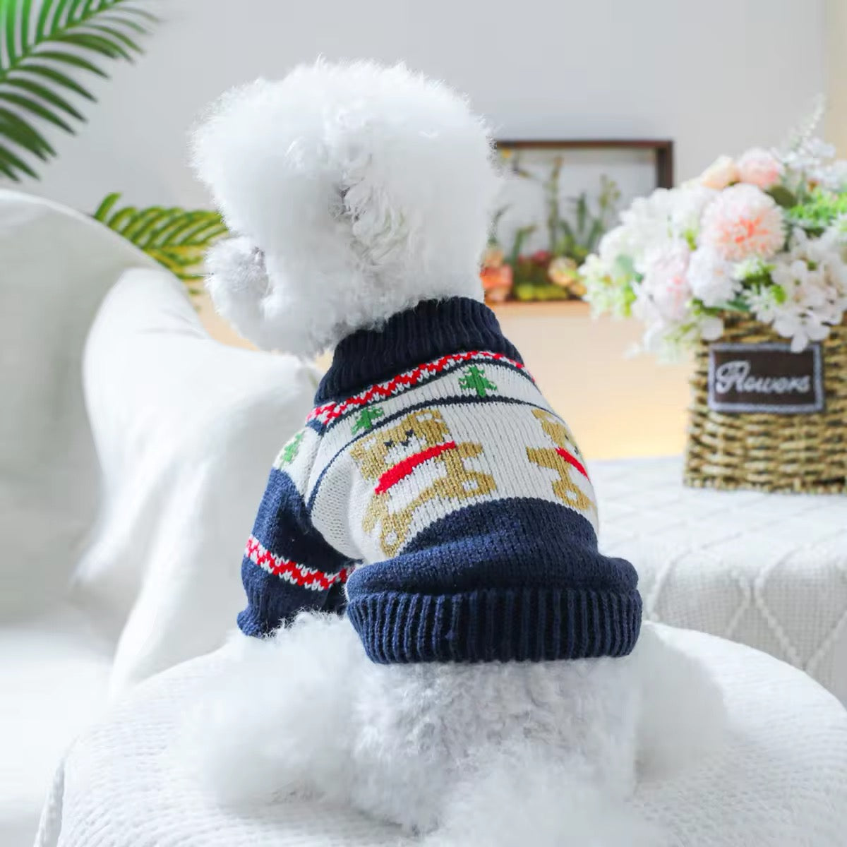 Badger Christmas Sweater for Dogs – Festive Holiday Dog Sweater