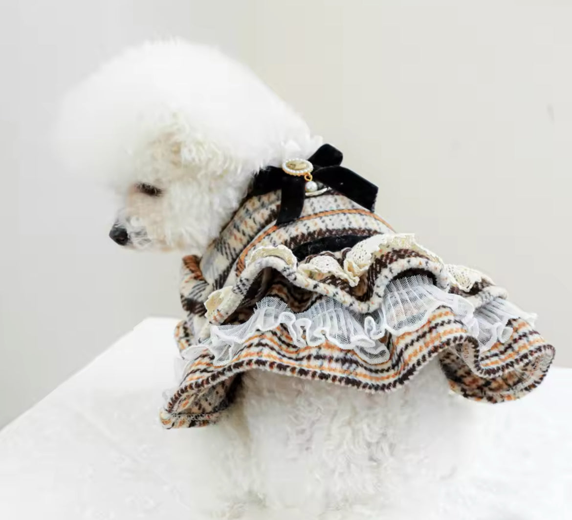 Alexis Dog Dress | Dog Dress for Everyday Wear