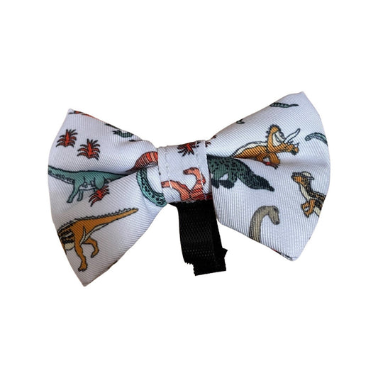 Dinosaur Print (7-Piece, Full Dog Accessories Set) by Doggy Days