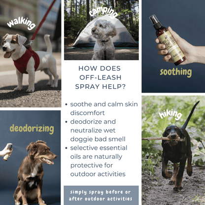 Anti-Itch Spray for Dogs – Gentle & Natural Relief