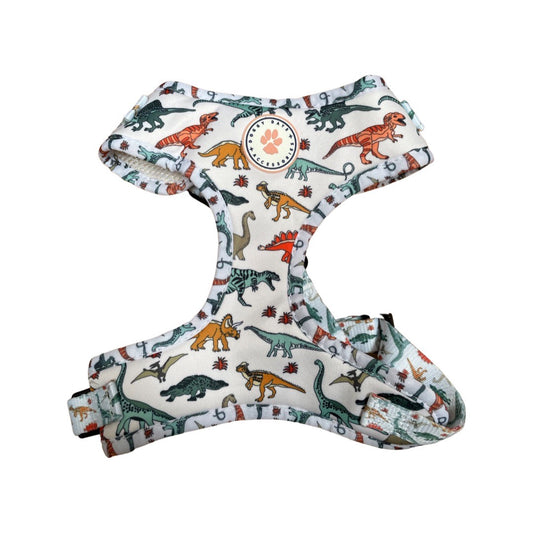 Dinosaur Print (7-Piece, Full Dog Accessories Set) by Doggy Days