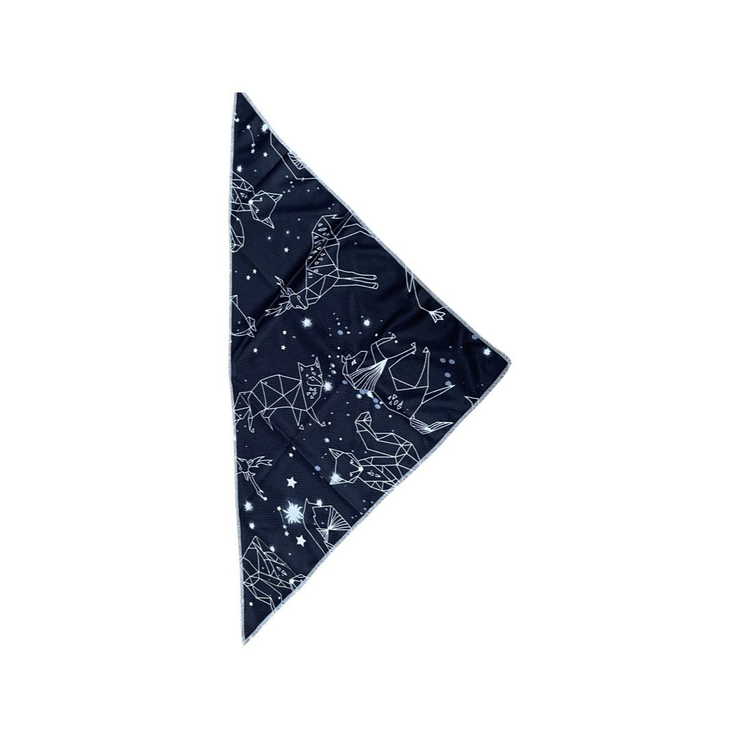 Animal Constellation (7-Piece, Full Dog Accessories Set) by Doggy Days